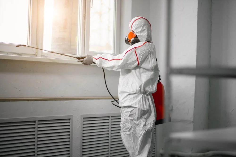 Professional mold remediation services in Bogart, GA